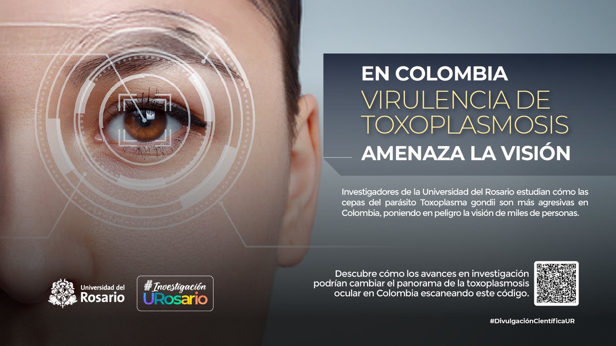 🔬👩‍🔬 Hoy, en #InvestigaciónURosario, en el Día Internacional de la Mujer y la Niña en la Ciencia, queremos compartirles esta investigación liderada por Alejandra de la Torre, profesora de nuestra Escuela de Medicina y Ciencias de la Salud.

Su estudio aborda la toxoplasmosis