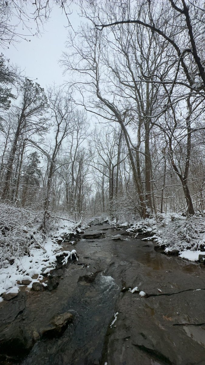 hags310's tweet image. sunday:tuesday