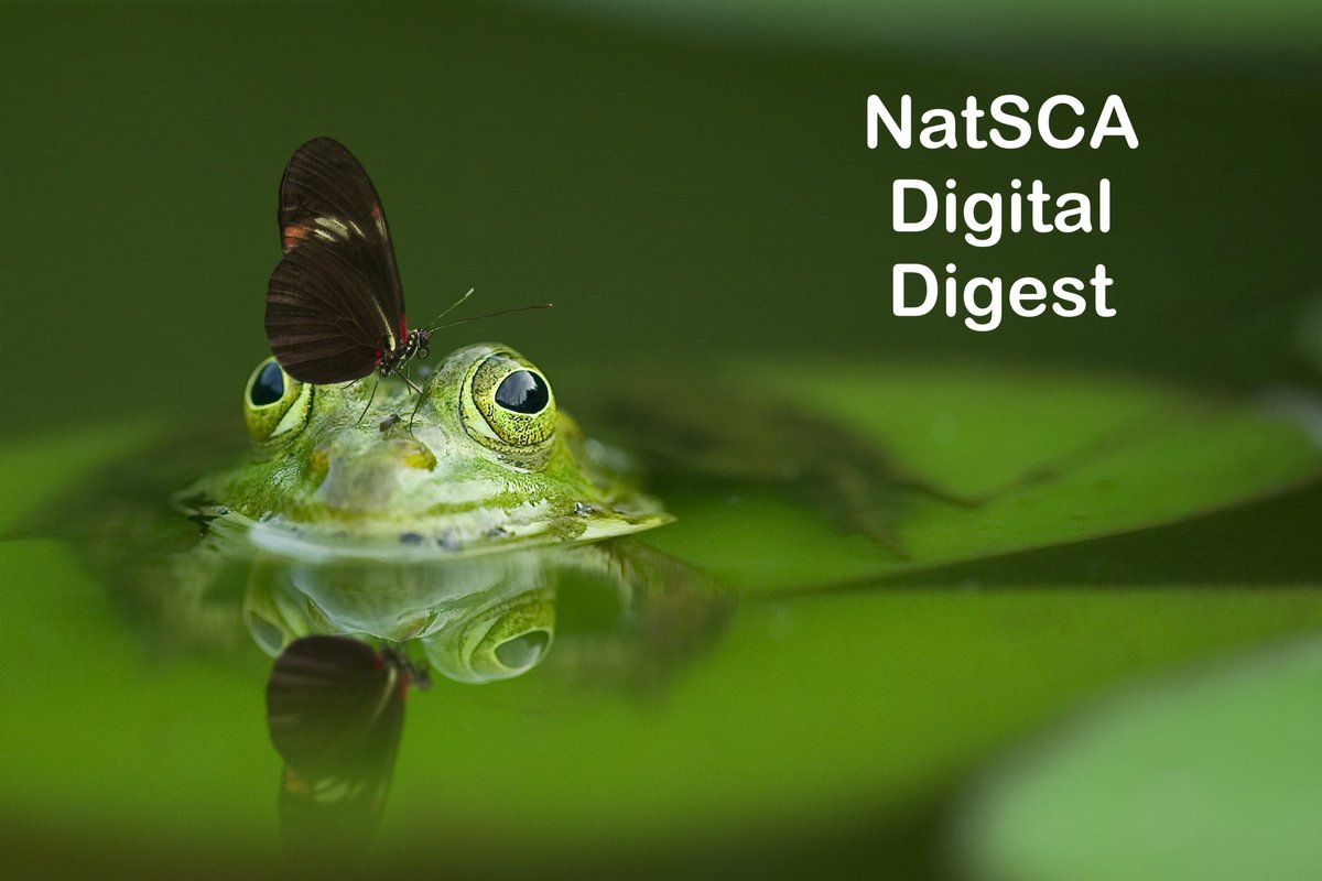Sector updates, conferences, exhibitions, events, jobs...the February edition of Digital Digest has it covered natsca.blog/2025/02/13/nat…