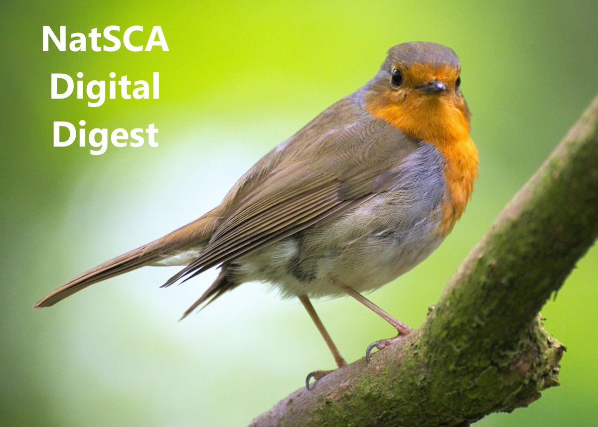 The February edition of our monthly newsletter is out today, enjoy! natsca.blog/2025/02/13/nat…