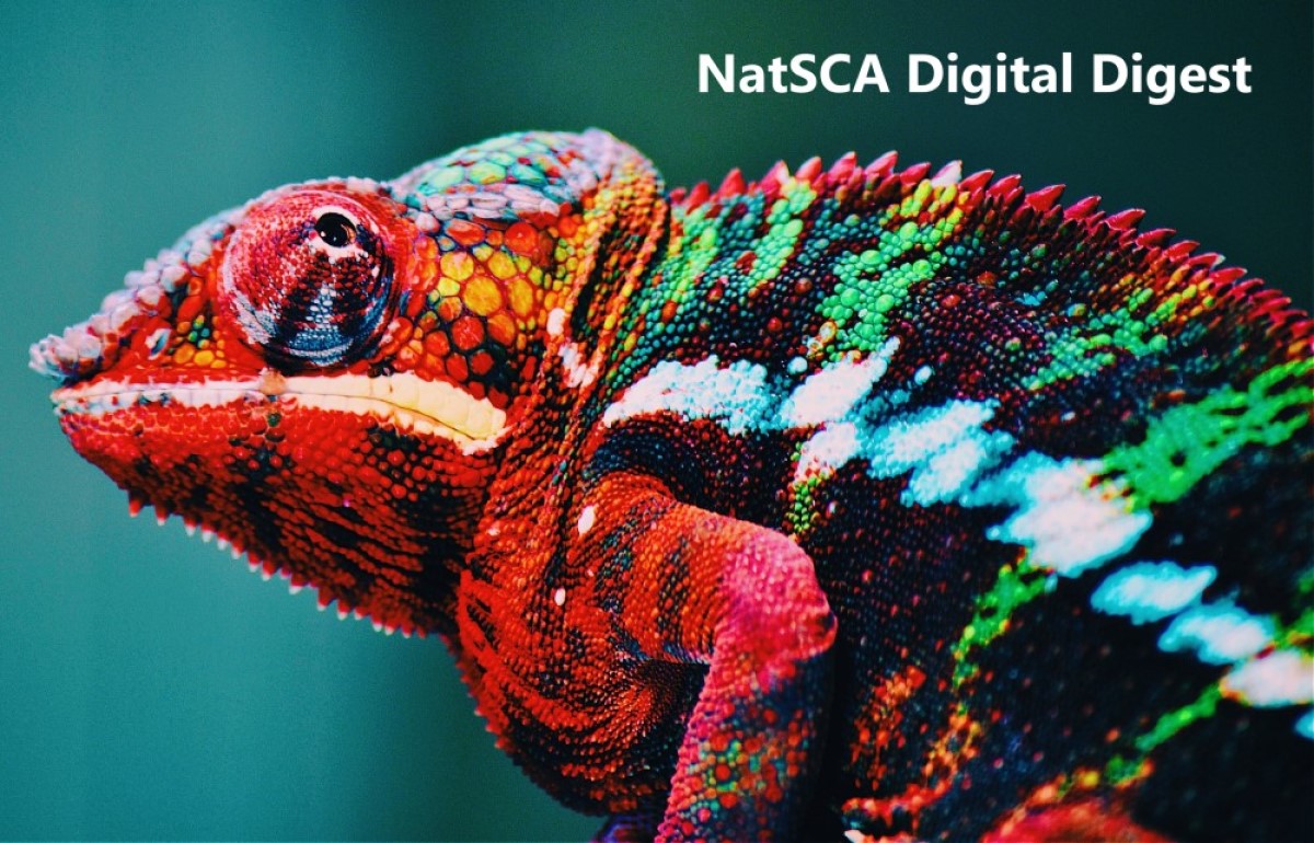 Want to find out more about what is going on in the sector this month? Check out the February edition of Digital Digest natsca.blog/2025/02/13/nat…