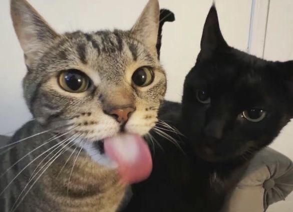 happy 14 month with you <3