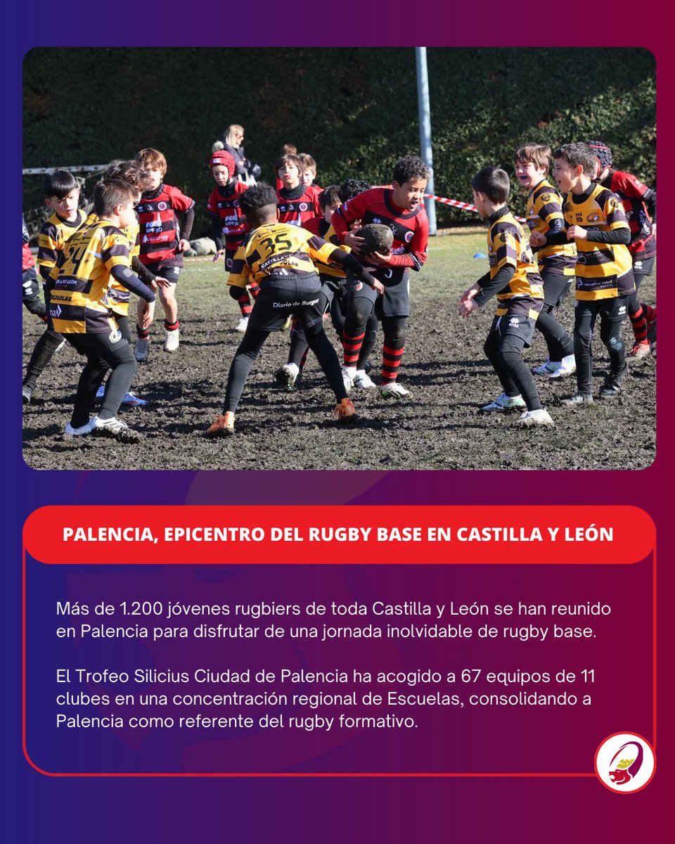 🏉 Palencia, epicentro del rugby base en Castilla y León 🏉

Más de 1.200 jugadores sub-6 a sub-12 y 67 equipos de 11 clubes se reunieron en la 5ª edición del Trofeo Silicius Ciudad de Palencia, organizado por @palenciarugbyclub.🔥🏉

#CastillaYLeonEsRugby #TrofeoSilicius