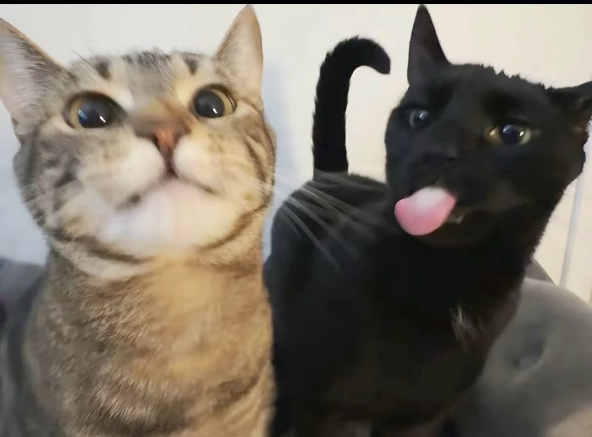 1.2y w/ n’tarntarn🤍