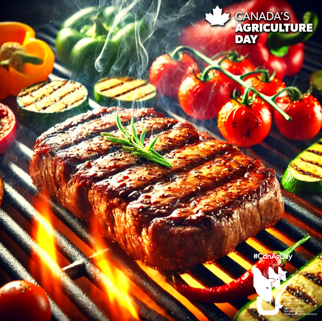 National Cattle Feeders tweet media