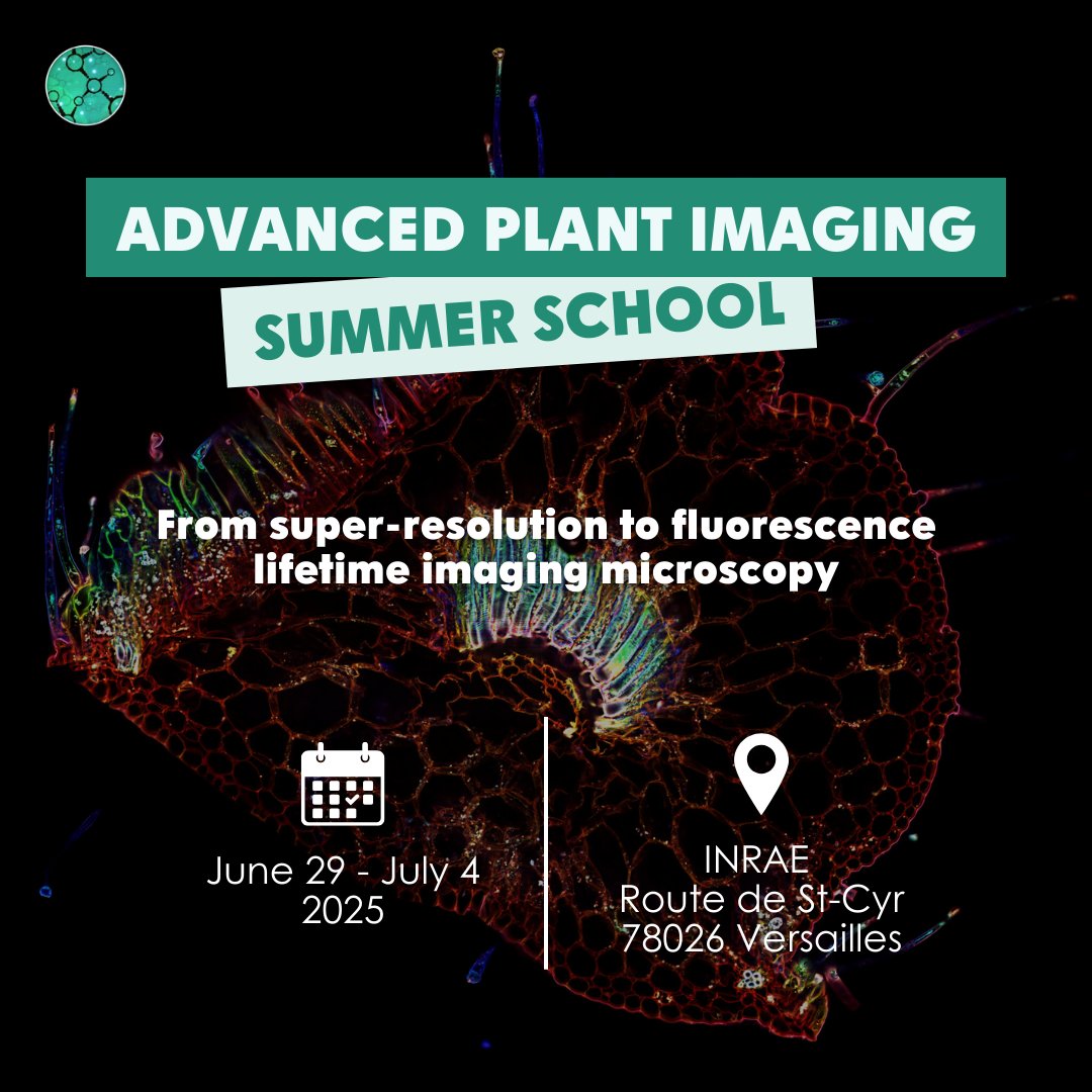 [Event] Apply now for the Advanced Plant Imaging Summer School! ☀️

Join from June 29 – July 4,  in Versailles to explore advanced light-microscopy applied to #plantscience through expert lectures &amp; practical workshops!

🚨 Apply by March 4!

Info➡️ eng-saclay-plant-sciences.hub.inrae.fr/teaching-and-t…