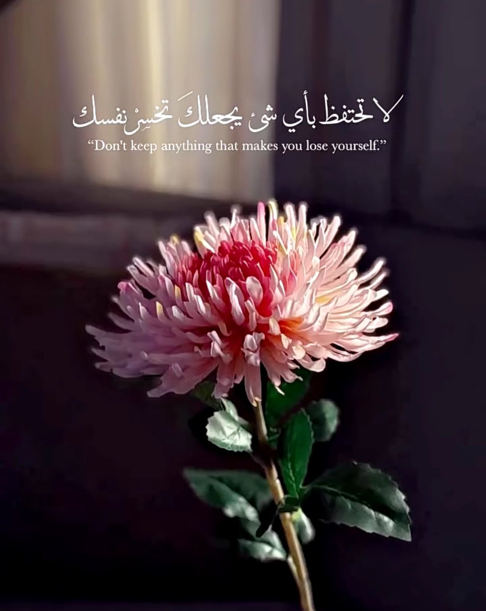 الكاتبه: منيفه بنت عوض💕 tweet media