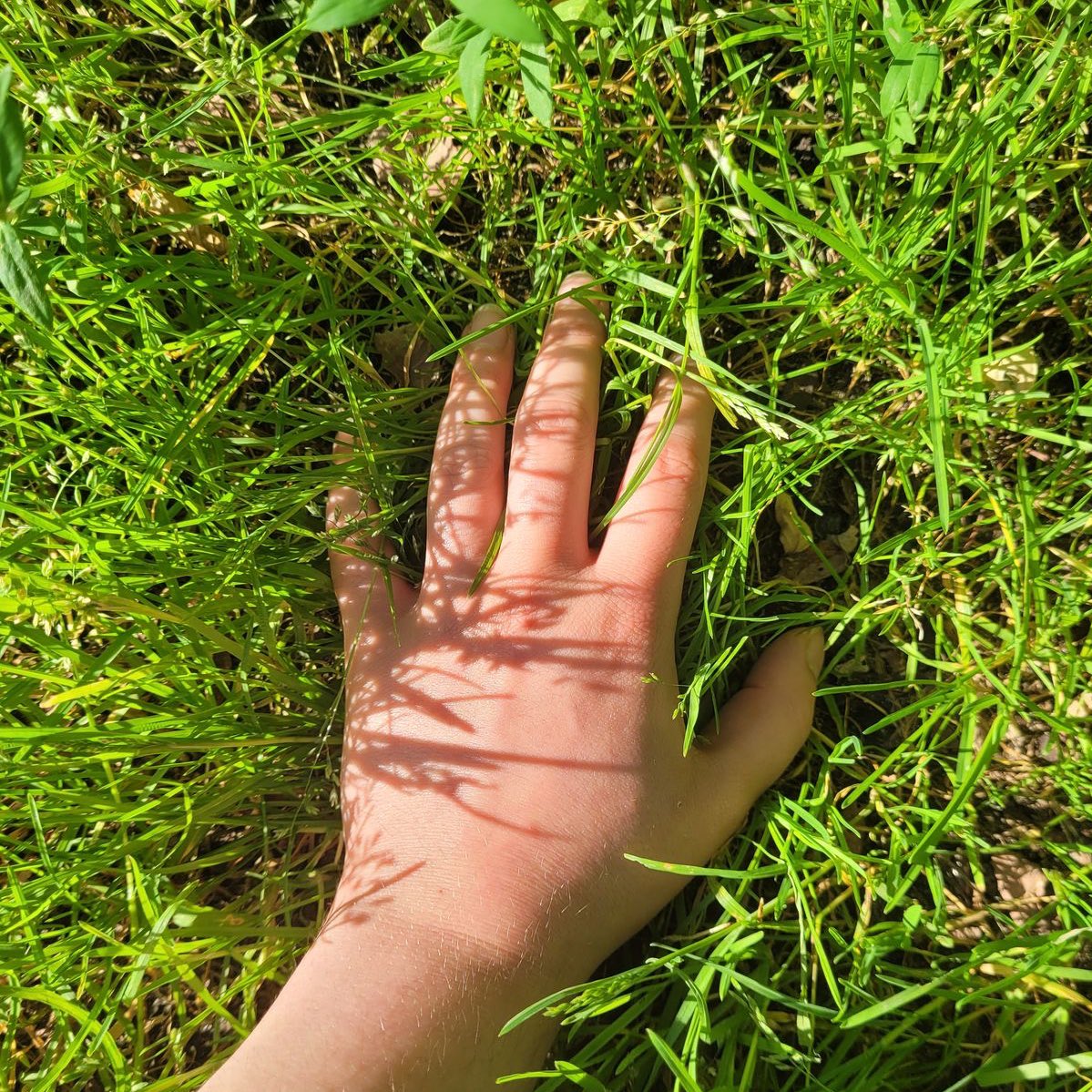 hanishaunted's tweet image. have you ever tried…. this one?