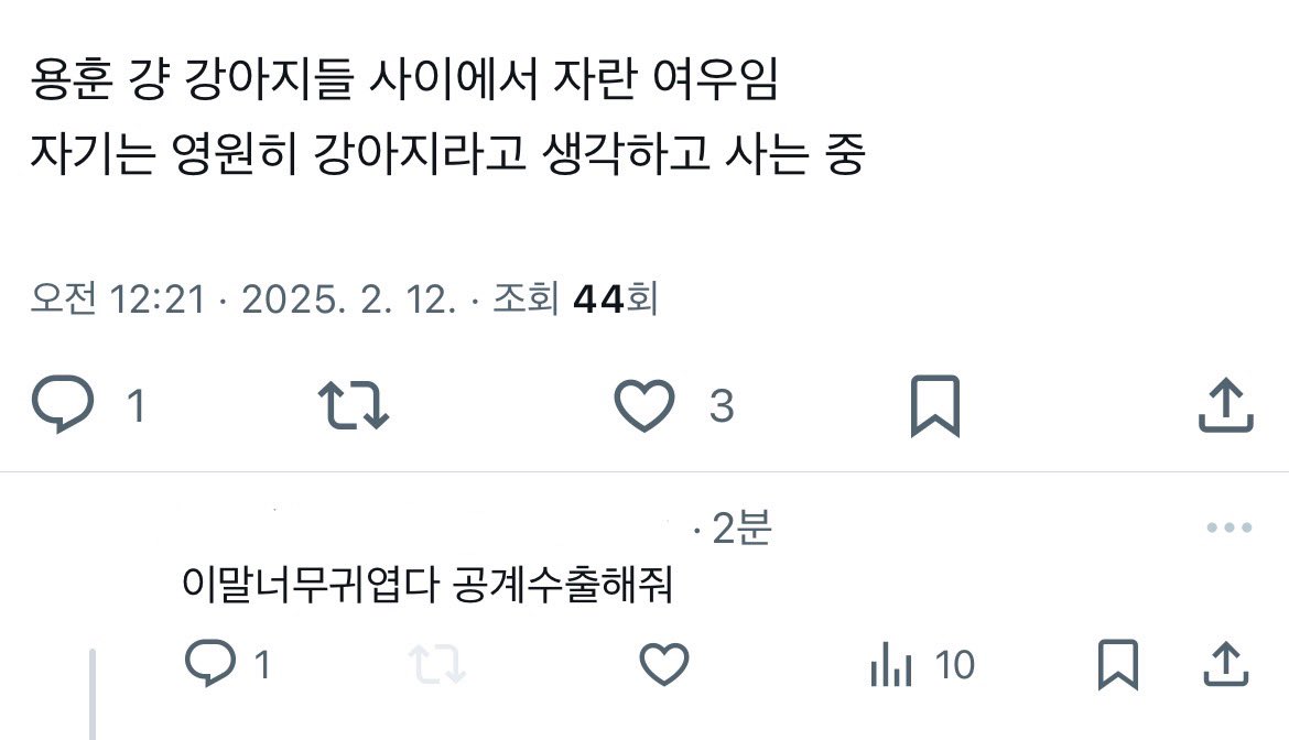 @ 동의하시는 분? 일단 저는 강아지 사이에 피어난 여우라고 생각합니담
