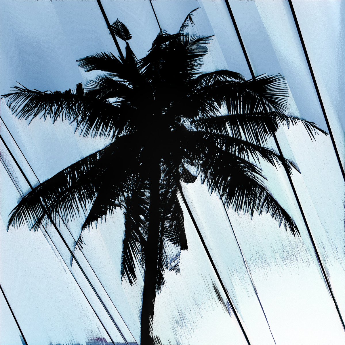 Rootkit tweet media