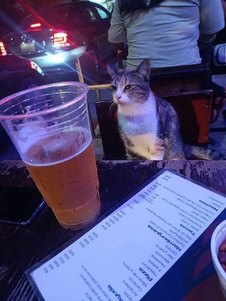 El único amigo que me queda