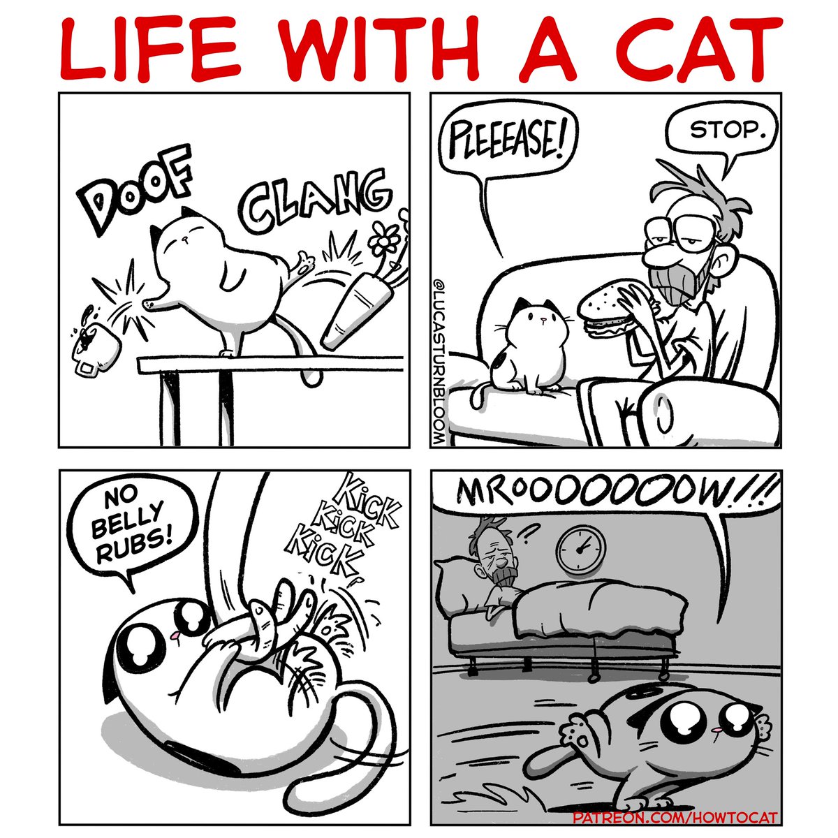 HOW TO CAT: “Life with a Cat”
Hey everyone, I’m back! How have you been?
.
patreon.com/howtocat