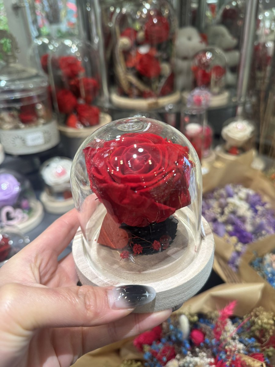 🌹🌹🌹 rose éternelle !!