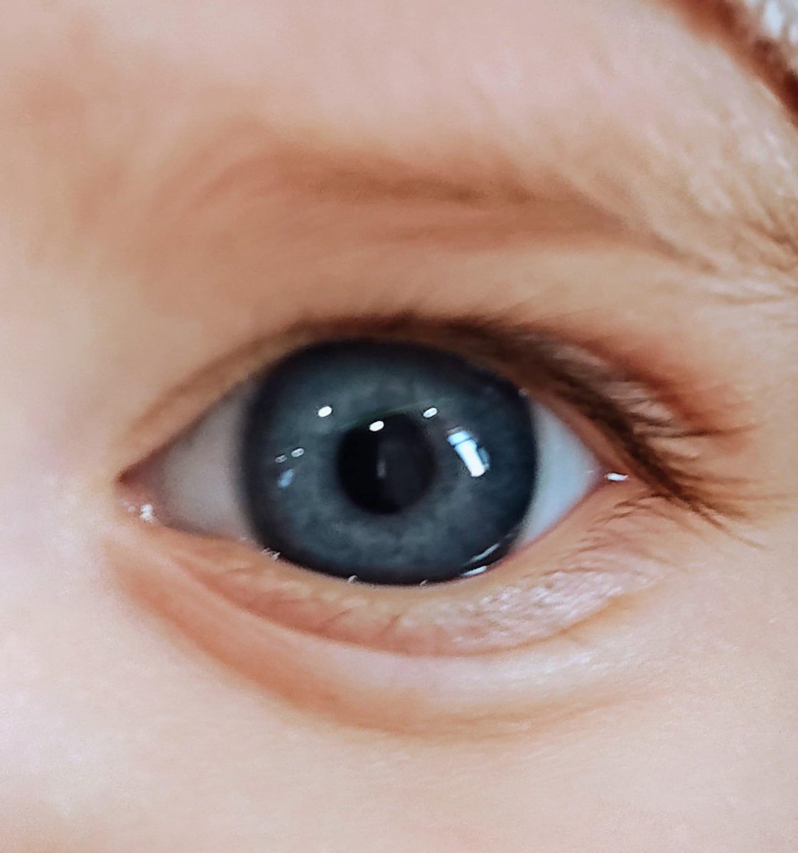 anna_eregorn's tweet image. #6monthsold #timothy