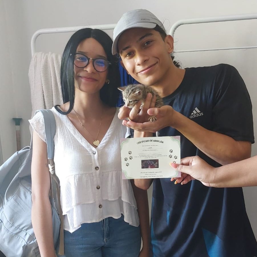 smileforfree_'s tweet photo. El proceso que ha sido encontrarle hogar a estos dos preciosos se sintió tan corto pero tan lleno de cosas lindas.
Una vez más los gatos llegando a mi vida para enseñarme cosas, en este caso; que hay gente buena y gente linda por ahí en el mundo, muy agradecida.🌻❤️‍🩹 https://t.co/LQAkn3ssT0