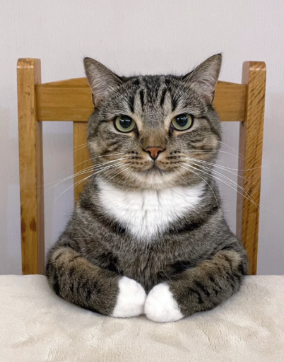 AholicTt's tweet photo. Pasadena Humane Society to resume pet adoptions after Eaton Fire https://t.co/VEBifiDOOo