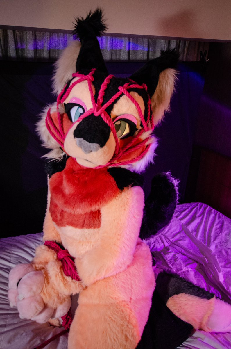 It's #tieduptuesday and we have posted a whole bunch more on our 🦋🦋🦋🦋

Have a teaser <a href="/AllspiceLynx/">A L L S P I C E ✖️N O S U G A R</a> until you get there 🩷🩷🩷🩷