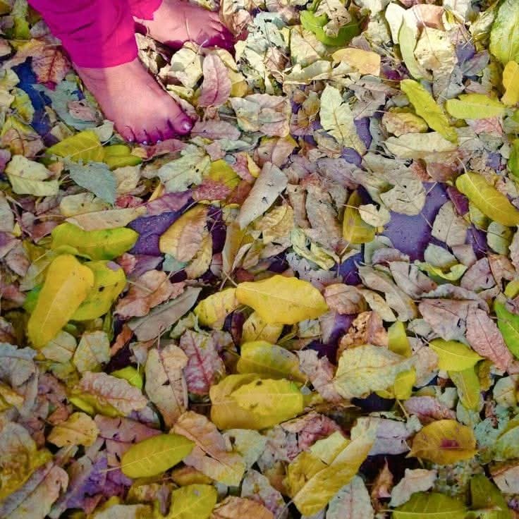 पतझड़ में सिर्फ़ पत्ते गिरते हैं.....🌿🌿
नज़रों से गिरने का कोई मौसम नहीं होता।

#GoodNightX 
<a href="/AadilWaheed_7/">Aadil Waheed</a>