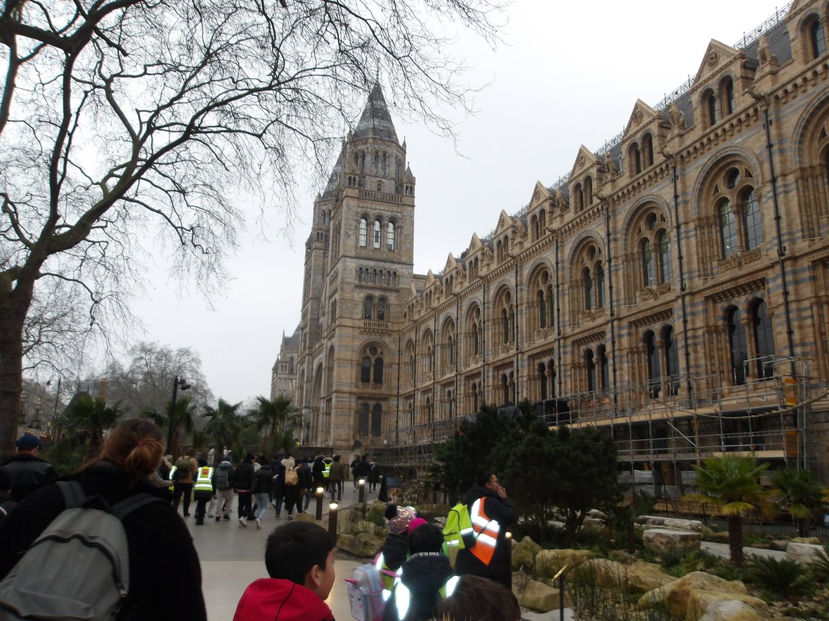 AlbionPrimary's tweet photo. Children in Year 3 had a fantastic time at the Natural History Museum today! This formed part of their learning in school about Volcanoes. The children loved  the natural distaster section and experiencing the feeling of an earthquake scenario.
#APSYear3
#APSvisits
#APShumanities https://t.co/UoOAgJS6gH