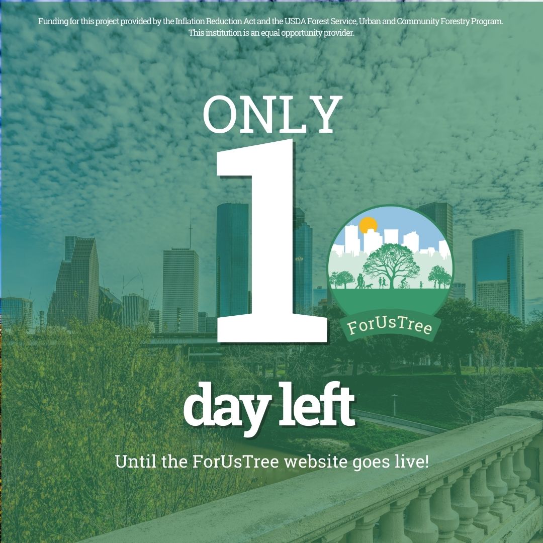 HARCresearch's tweet image. The ForUsTree website launches TOMORROW!🌳

Mapping the Heat, Planting the Solution! By pinpointing hot spots, we can focus tree planting efforts where they’re needed most - creating cooler, greener communities.

#ForUsTree #UrbanGreening #CoolerHouston