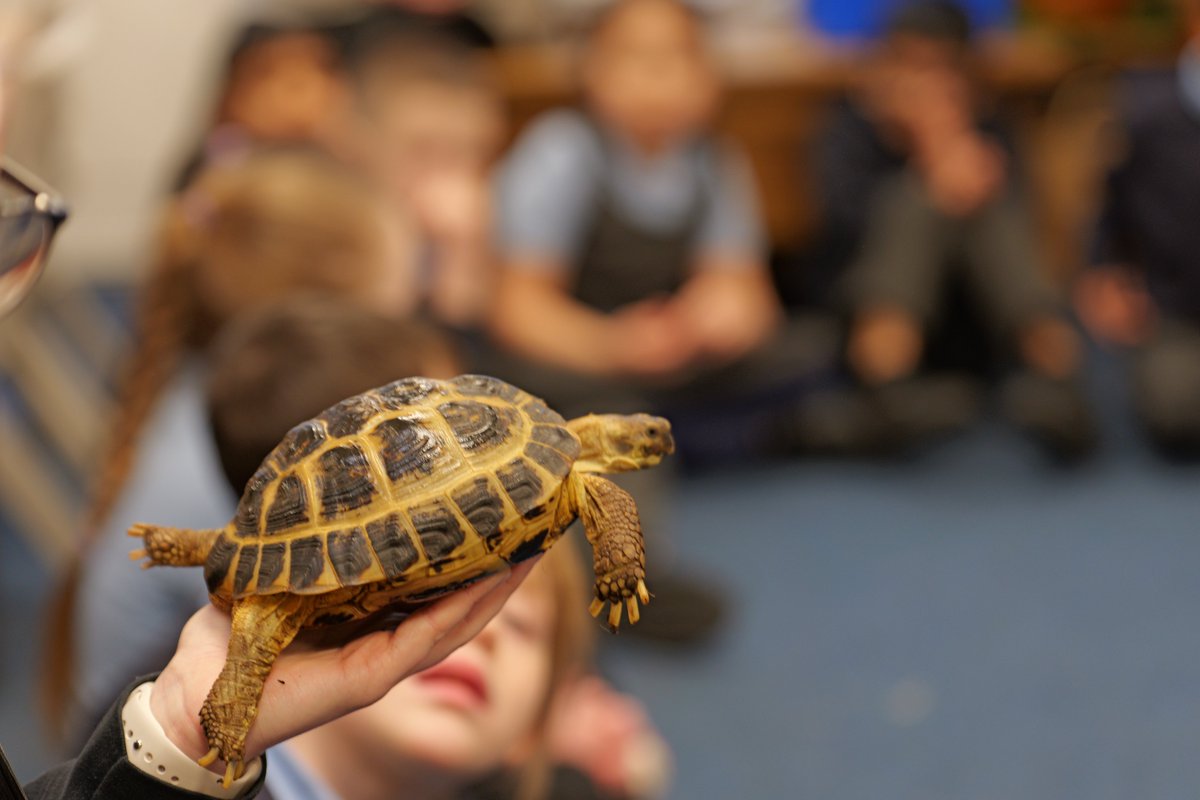 St Stephen’s CE Primary School tweet media