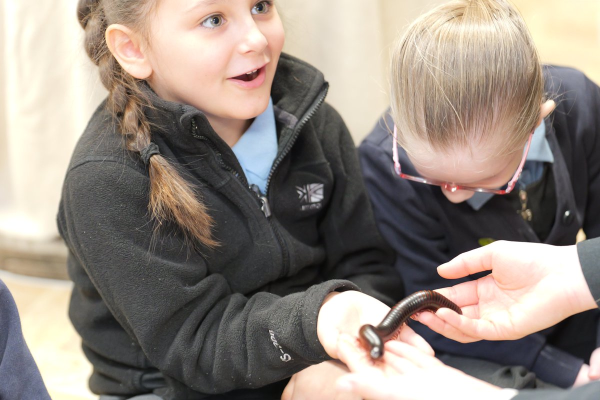 St Stephen’s CE Primary School tweet media