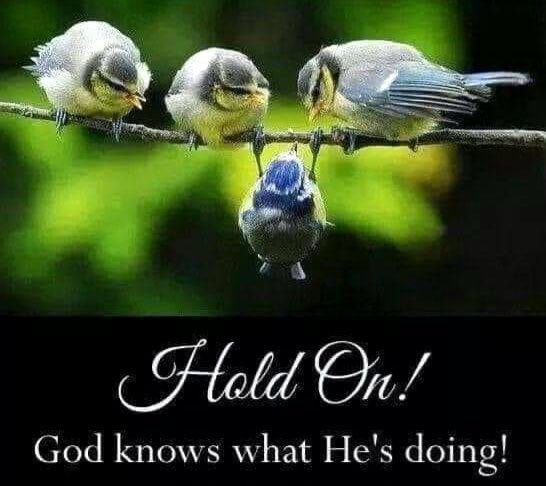 God Knows What He is Doing.🙏❤️