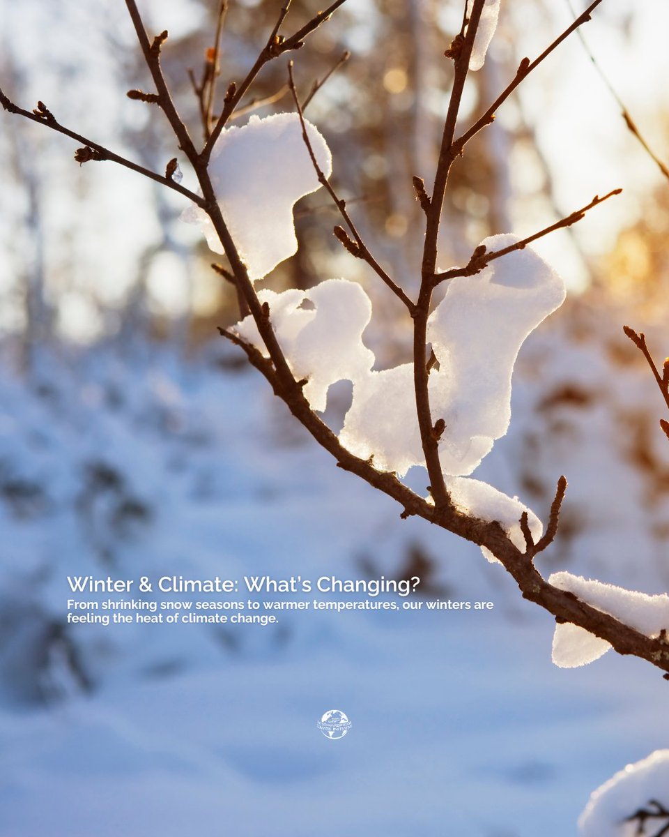 Winters are warming. ❄️ From shorter snow seasons to extreme storms, the climate crisis is reshaping our coldest months. Let’s act now to protect the future of winter. 🌍 #ClimateAction #ProtectOurWinters