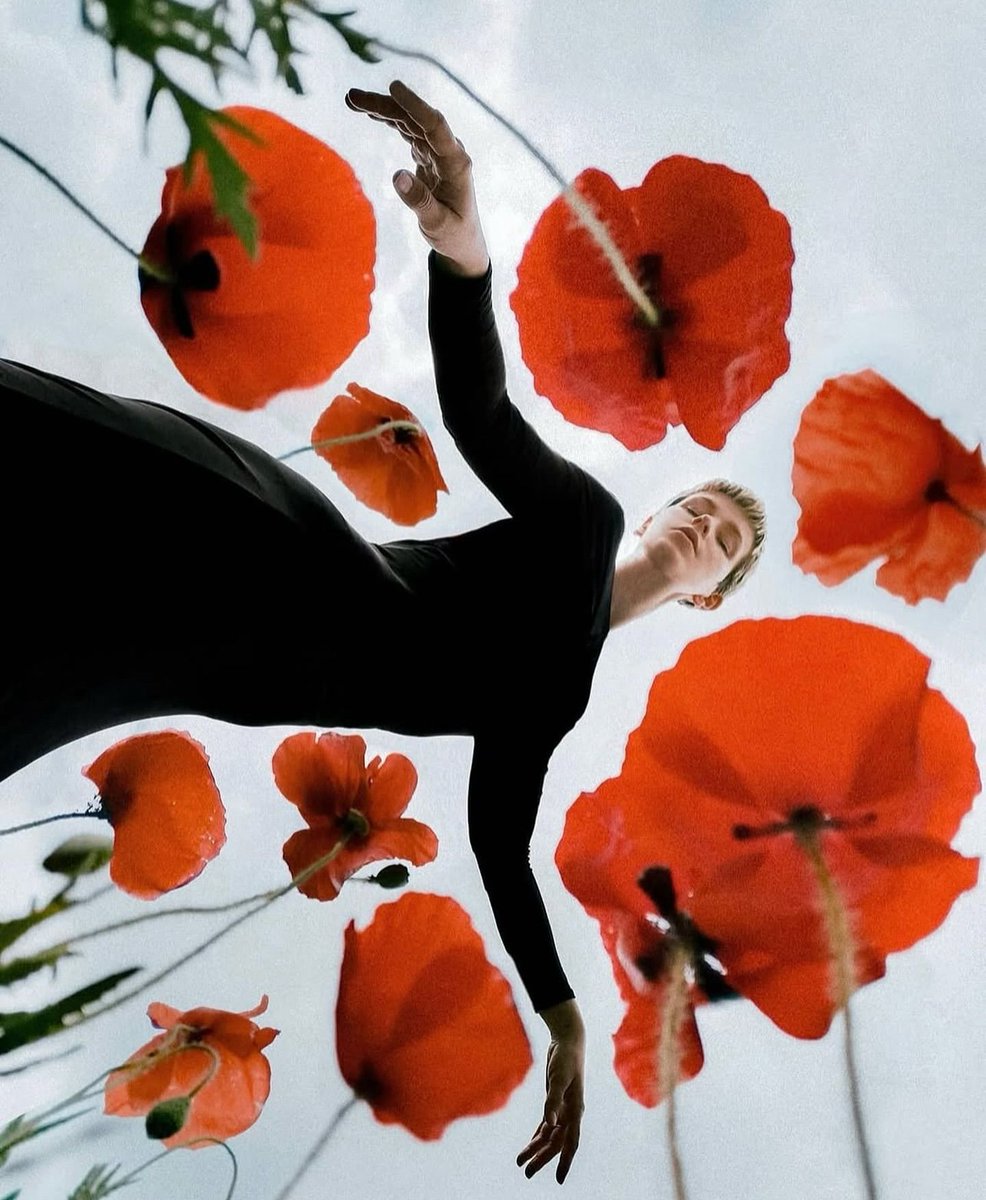 Beautiful Flowers Perspective 🌹 Creative Photography by @laurazalenga #art #photography #flowers #love