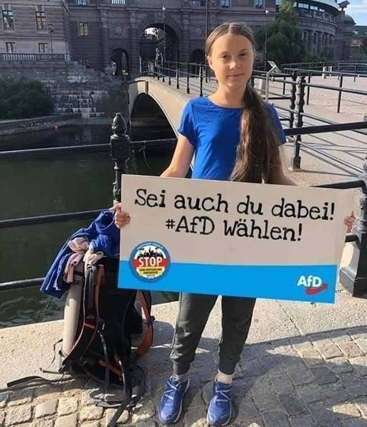 Weil es die Linken auf die Palme bringt 😂 Greta empfiehlt die AfD zu wählen 💙💙