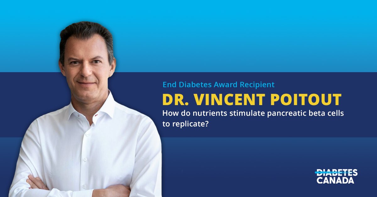 Dr. Vincent Poitout and his team’s research will provide critical information around beta cell replication and help the team design therapeutic approaches to prevent or delay gestational or type 2 diabetes. Learn more about his research here: ow.ly/wKoF50UTv0i