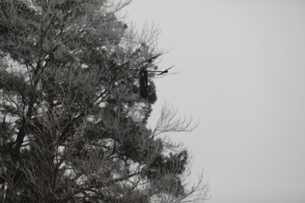 US_EUCOM's tweet image. Can you spot the drone??? 

A short-range recon drone at Joint Multinational Readiness Center, Germany, during Exercise Combined Resolve 25-1. &apos;Combined Resolve&apos; builds combat readiness amongst NATO and partner nations. #WeAreNato #agileforces #agileanddynamic #readyandresilient