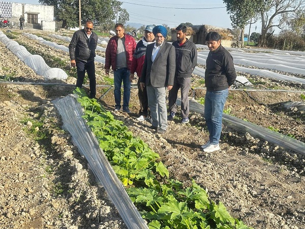 NewspointjK's tweet photo. Director Agriculture Jammu conducts field visit in #Marh Sub-Division
Inspects #Agriculture ventures established by local farmers by availing #HADP
@diprjk https://t.co/0JhRAjXo4J