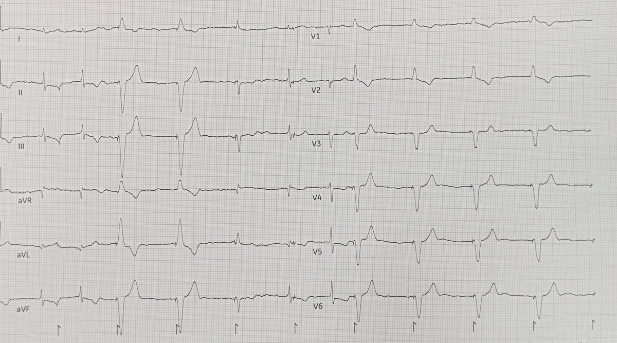 CardioAcademy tweet media