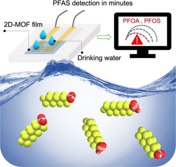 DMSE at MIT (@mit_dmse) on Twitter photo New materials for cleaner water: <a href="/mit_dmse/">DMSE at MIT</a> & <a href="/Stanford/">Stanford University</a> researchers developed an ultra-sensitive sensor that detects harmful PFAS at just 0.002 ng/L. A promising step for chemical monitoring and water safety. Read more in <a href="/acsnano/">ACS Nano</a>: buff.ly/42Ql577 New materials for cleaner water: <a href="/mit_dmse/">DMSE at MIT</a> & <a href="/Stanford/">Stanford University</a> researchers developed an ultra-sensitive sensor that detects harmful PFAS at just 0.002 ng/L. A promising step for chemical monitoring and water safety. Read more in <a href="/acsnano/">ACS Nano</a>: buff.ly/42Ql577