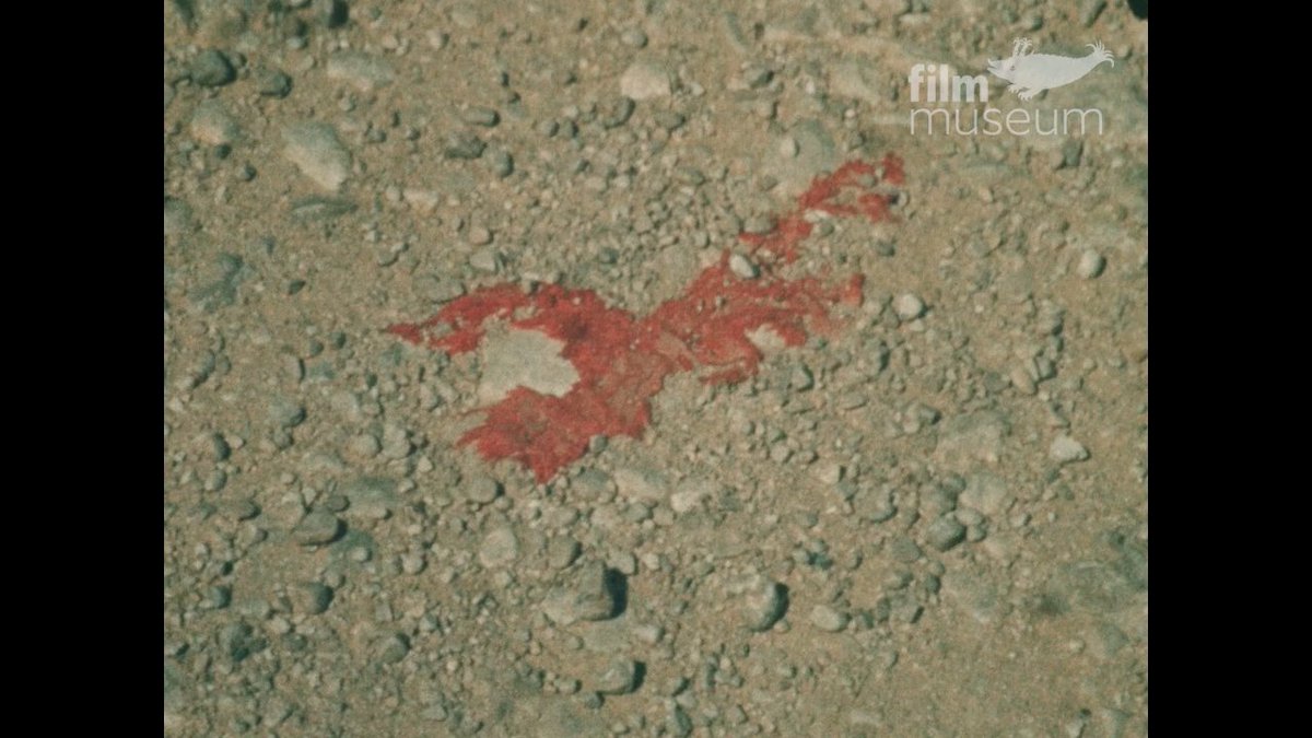 a_e_x_a's tweet photo. gammelion (1968)
dir. gregory markopoulos
HD 720p copy

https://t.co/BphxqROLm0 https://t.co/apbxScvg9q