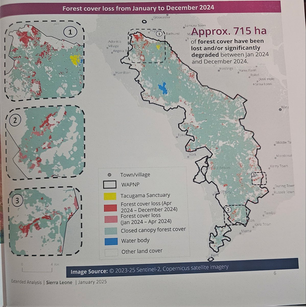 Sonkita Conteh (@sonkita) on Twitter photo Freetown's Peninsular Forest lost approx 750 ha of cover between Jan- Dec 2024, <a href="/WFPS_Leone/">WFP Sierra Leone</a> analysis shows . So far, over 30% of the 18,000 ha national park has been degraded. The park is heading for extinction and so is Freetown, if we don't dial back exploitation. Freetown's Peninsular Forest lost approx 750 ha of cover between Jan- Dec 2024, <a href="/WFPS_Leone/">WFP Sierra Leone</a> analysis shows . So far, over 30% of the 18,000 ha national park has been degraded. The park is heading for extinction and so is Freetown, if we don't dial back exploitation.