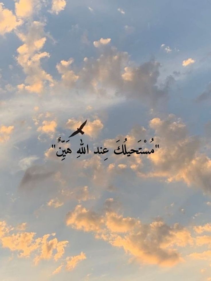 مُطمئِنةَ.! tweet media