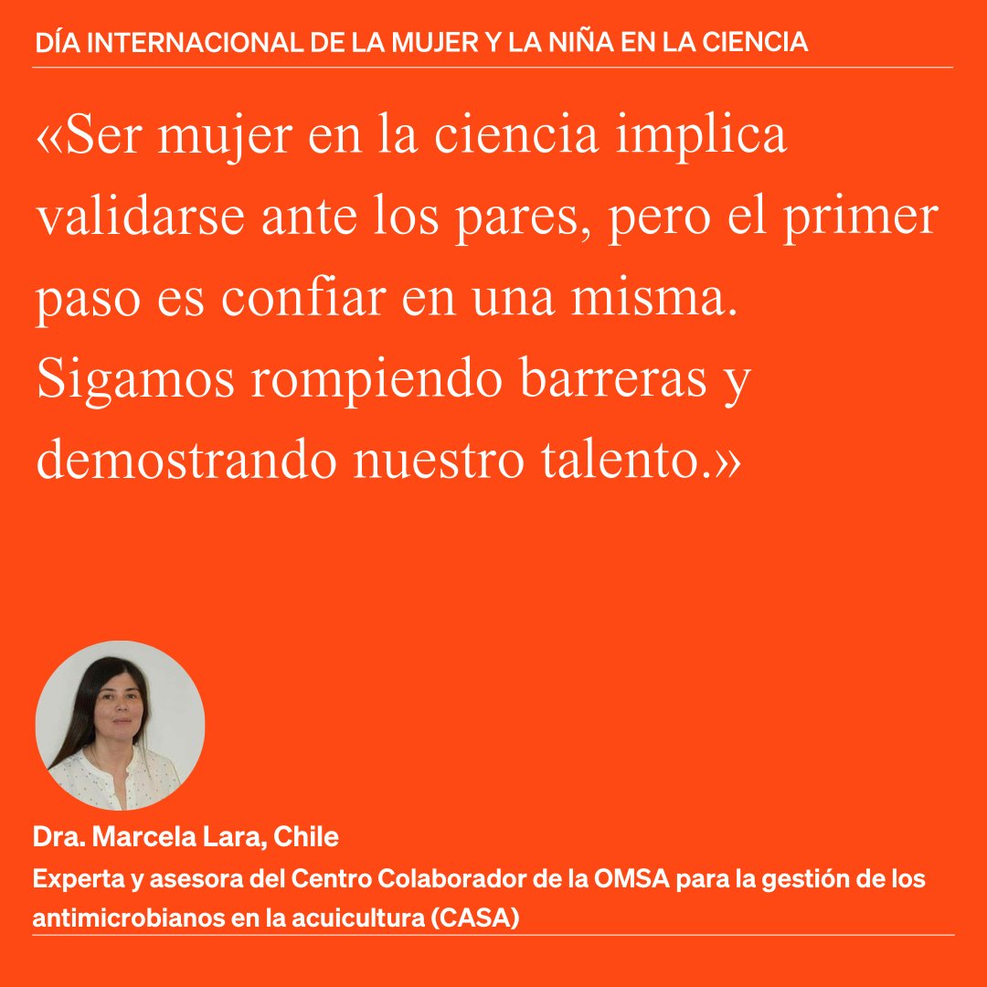 Organización Mundial de Sanidad Animal - Americas tweet media