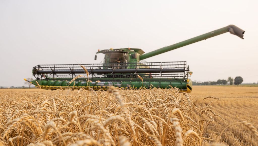 Today is Canada's Ag Day! 🌾

Bruce County, and Canada, are home to amazing producers of world-class ingredients. 

Let's celebrate and thank all who work in the agriculture industry by choosing Canadian when we shop, cook and dine 🍽

#CdnAgDay #BruceCounty