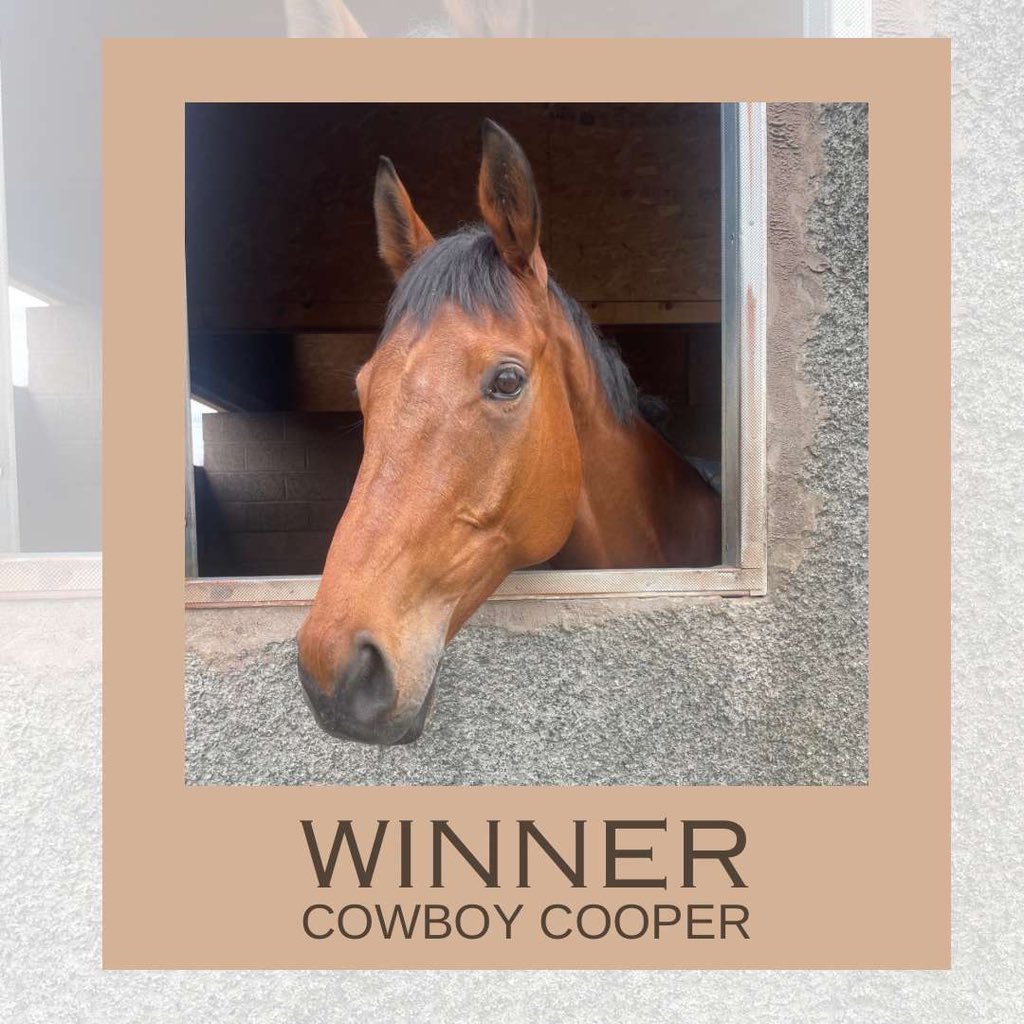 Donald Whillans Racing (@whillansracing) on Twitter photo 🥇 𝒲𝐸 𝐻𝒜𝒱𝐸 𝒜 𝒲𝐼𝒩𝒩𝐸𝑅🥇
Cowboy Cooper wins! <a href="/ayrracecourse/">Ayr Racecourse</a> with a fantastic front running ride from Craig Nichol. Well done to owner Bill Aitchison and the whole team. 🐎🏆 🥇 𝒲𝐸 𝐻𝒜𝒱𝐸 𝒜 𝒲𝐼𝒩𝒩𝐸𝑅🥇
Cowboy Cooper wins! <a href="/ayrracecourse/">Ayr Racecourse</a> with a fantastic front running ride from Craig Nichol. Well done to owner Bill Aitchison and the whole team. 🐎🏆