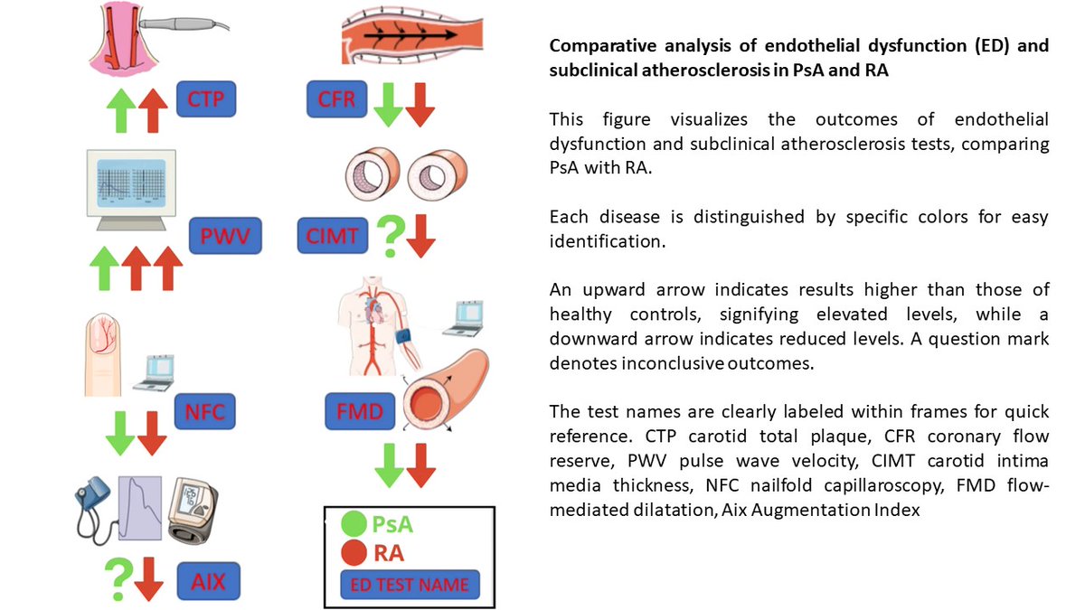 Rheumatology & Immunology, Jagiellonian University (@rheumkrakow) on Twitter photo #PsoriaticArthritis vs. #RheumatoidArthritis: Endothelial Dysfunction & CV Risk by <a href="/JarosawNowakow6/">Jarosław Nowakowski</a> et al.
🔗 doi.org/10.1007/s00296…
🩸 Both PsA & RA ⬆️CV risk, but in different ways:
✅ PsA = early microvascular dysfunction & atherosclerosis
✅RA = more vascular remodeling & #PsoriaticArthritis vs. #RheumatoidArthritis: Endothelial Dysfunction & CV Risk by <a href="/JarosawNowakow6/">Jarosław Nowakowski</a> et al.
🔗 doi.org/10.1007/s00296…
🩸 Both PsA & RA ⬆️CV risk, but in different ways:
✅ PsA = early microvascular dysfunction & atherosclerosis
✅RA = more vascular remodeling &