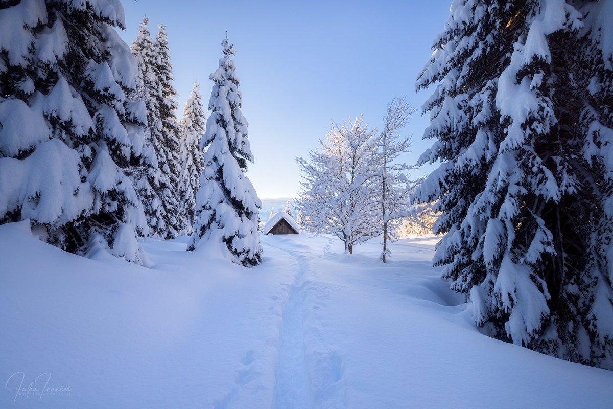 Crossing fingers for a huge snowfall at the end of this week in Slovenia, just like the one in this photo I took in January 2021—if the forecast is right, we might get lucky! ❄️🤟🏻🤞🤞🤞 #snowfall #winter #slovenia #triglavnationalpark #pokljuka #julianalps #alps #landscape