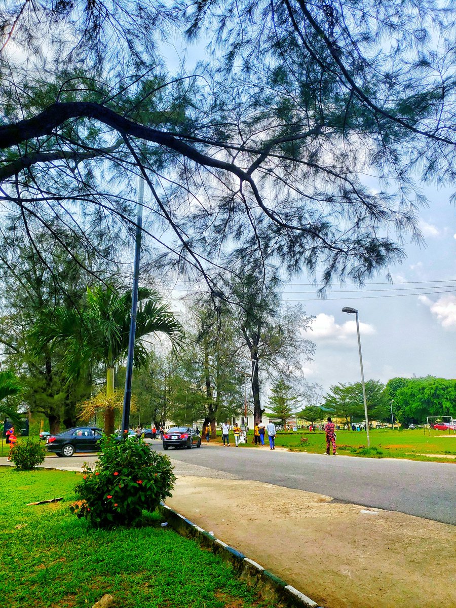 OfGkez's tweet photo. Rivers State University, Port Harcourt. 
Day 22 of 50.
#stockmarketcrash #LaCasaDeLosFamososCol2 #SuperBowlLIX #stockmarketcrash #Trump #LingOrm #RanveerAllahbadia #MilleSkinofNewGenxdmd #御曹司に恋はムズすぎる https://t.co/EFbpFQWj7Q