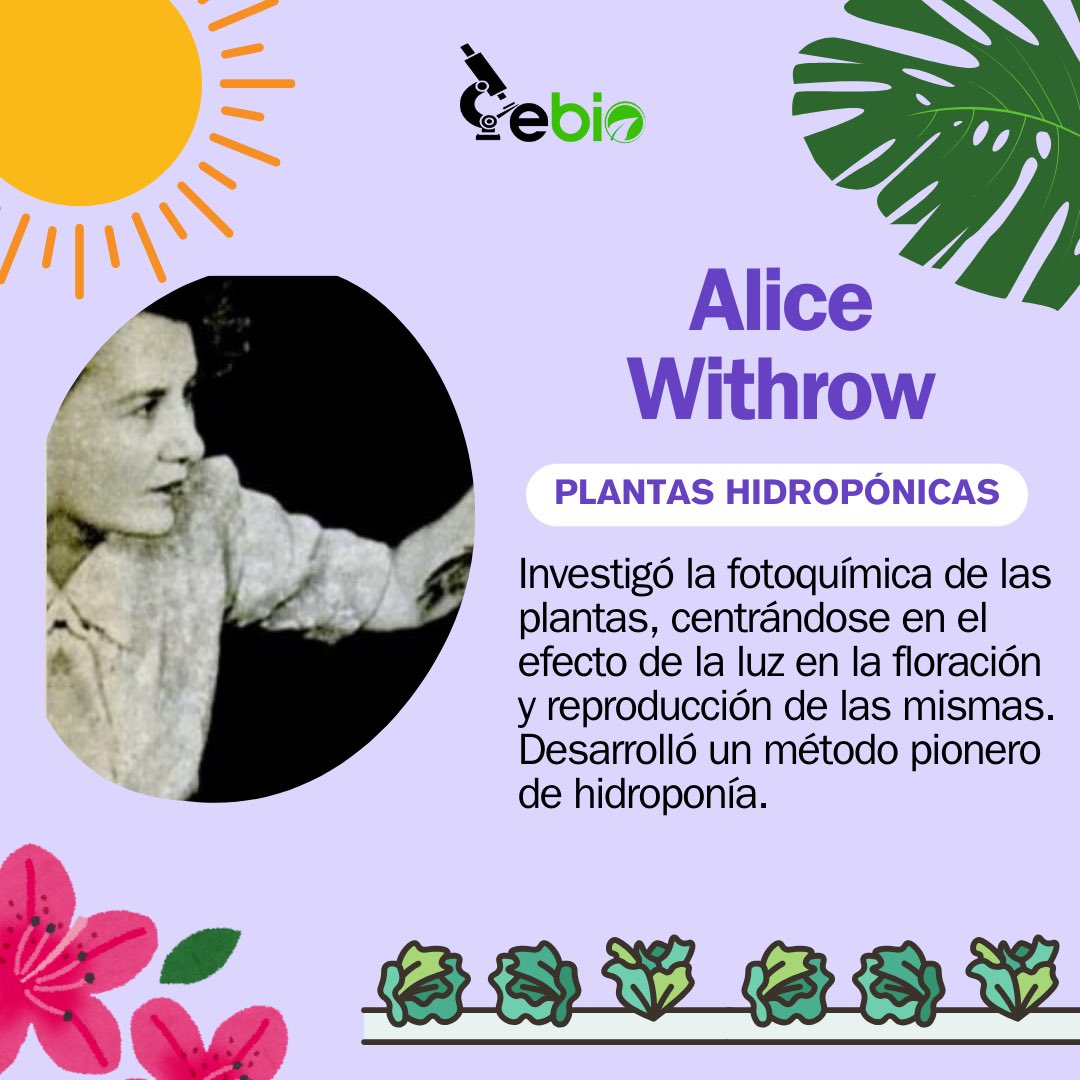 CEBIOUSB tweet media