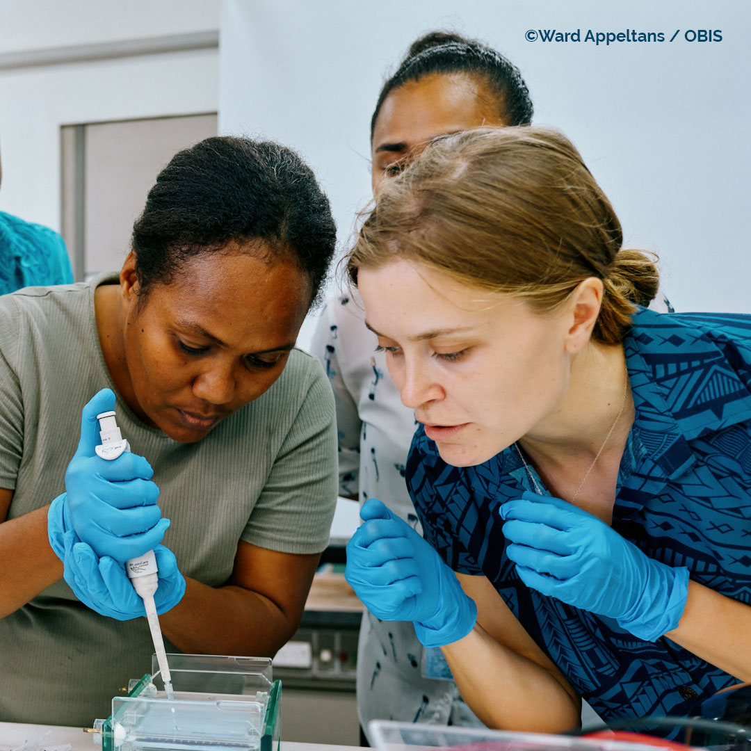 OBISNetwork's tweet image. Happy International Day of Women and Girls in Science! We sat with Saara Suominen, a scientific officer at OBIS, to discuss her journey in marine science &amp;amp; how environmental DNA changes biodiversity research.

Read more obis.org/2025/02/11/cel…

#EveryVoiceInScience | @UNESCO