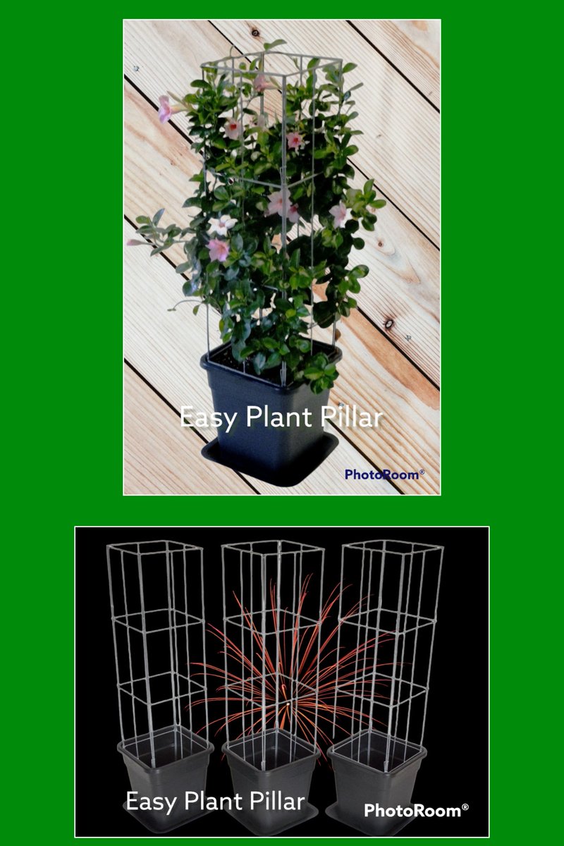 Easy Plant Pillar climbing plant racks. Vertical gardening with vegetables, fruit and support for other plants, more than 40 models. The Wire Racks do not rust and are extendable.
easyplantpillar.nl