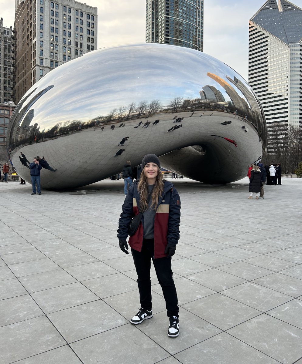 hermoine granger tweet media