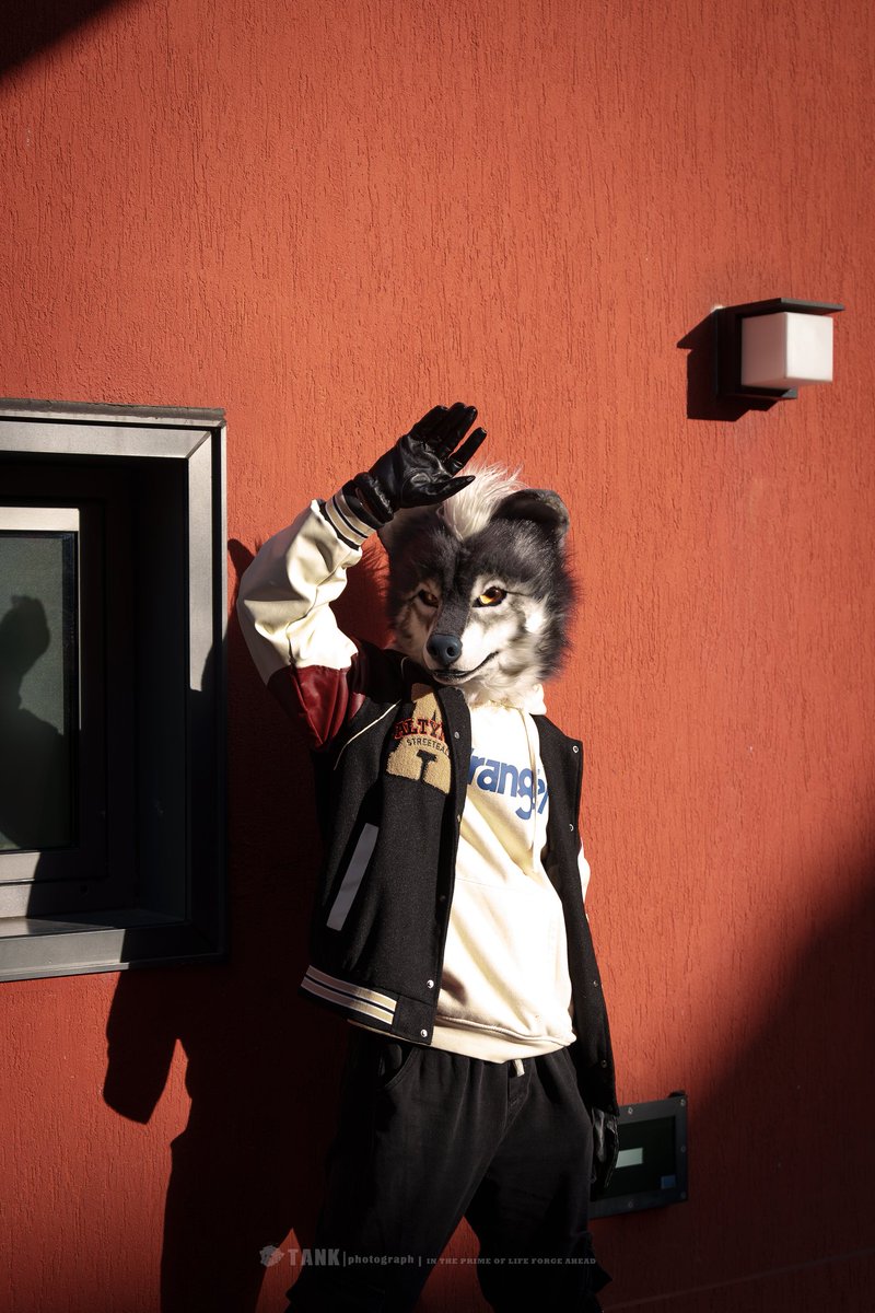 #furry #fursuit #FursuitEveryday #FursuitFriday 
📷:<a href="/JoshBeikal/">Beikal</a>