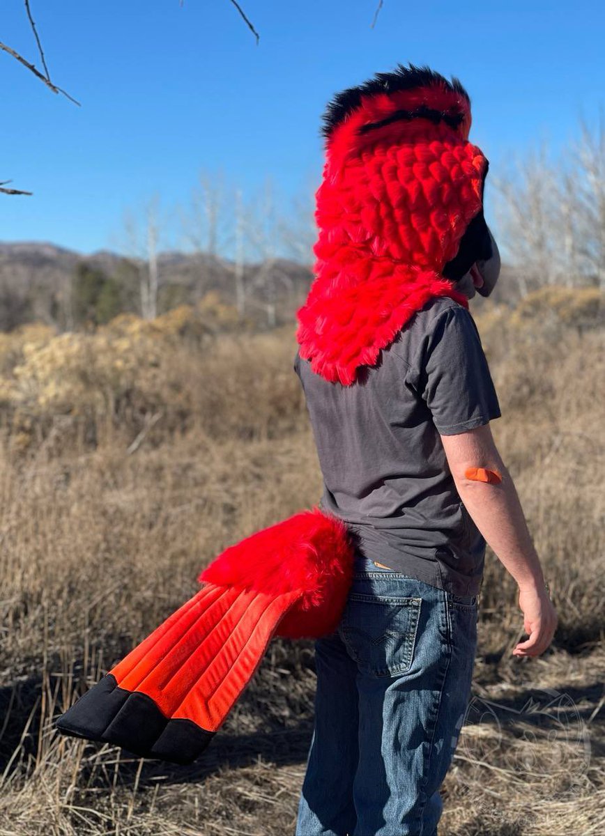 🧶Thread’s the TTFC GOH🧵 (@tws_fursuits) on Twitter photo ❤️🔥 Ceol sets your heart a blaze with his striking red feathers and rockstar attitude 🎸
A head and tail set completed earlier this year for <a href="/Cardinal_Synth/">N0-15Y81RD</a> ❤️🔥 Ceol sets your heart a blaze with his striking red feathers and rockstar attitude 🎸
A head and tail set completed earlier this year for <a href="/Cardinal_Synth/">N0-15Y81RD</a>